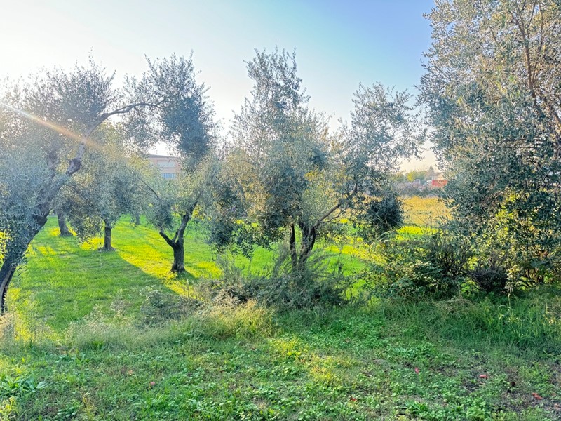 Terreno edificabile in Vendita a Pietrasanta, 165'000€, 600 m²