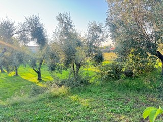 Terreno edificabile in Vendita a Pietrasanta, 165'000€, 600 m²