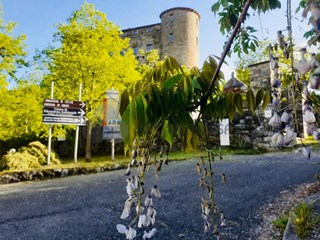 Casa Semi Indipendente in Vendita a Calice al Cornoviglio, 50'000€, 110 m²