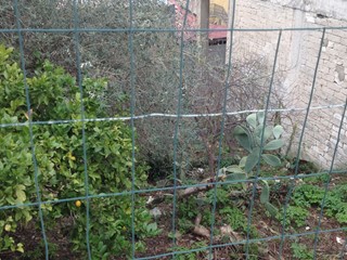 Terreno edificabile in Vendita a Canicattini Bagni, 35'000€, 400 m²