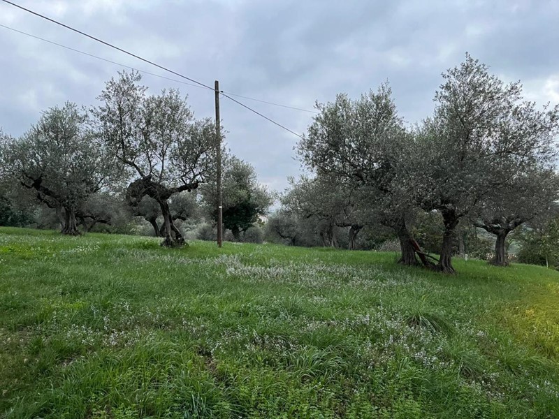 Terreno industriale in Vendita a Pianella, 99'000€, 3122 m²