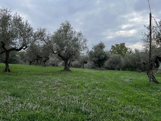 Terreno industriale in Vendita a Pianella, 99'000€, 3122 m²