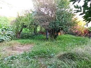Casa Indipendente in Vendita a Lucca, zona Pontetetto, 300'000€, 380 m², con Box