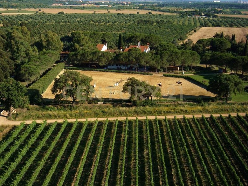 Casa Indipendente in Vendita a Grosseto, zona Roselle, 3500 m², con Box