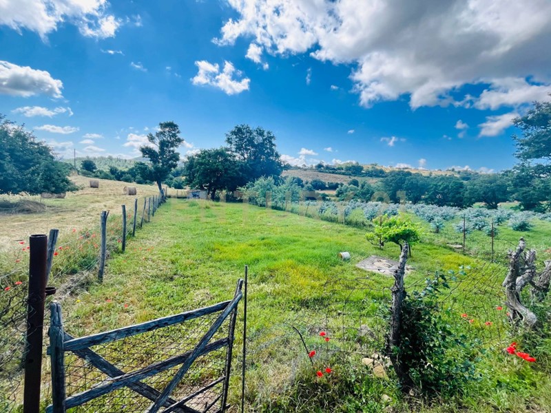 Appartamento in Vendita a Scansano, zona Pancole, 85'000€, 160 m²
