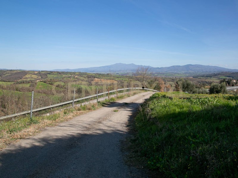 Casa Semi Indipendente in Vendita a Civitella Paganico, 300'000€, 178 m², arredato