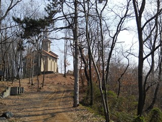 Attività commerciale in Vendita a Levone, 149'000€, 230000 m²