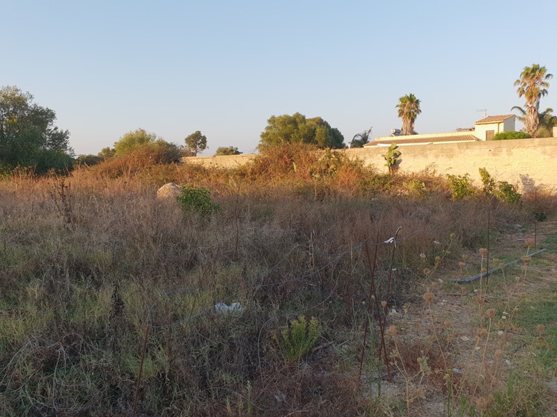 Terreno edificabile in Vendita a Siracusa, zona ELORINA - SANTA TERESA, 39'000€, 1000 m²
