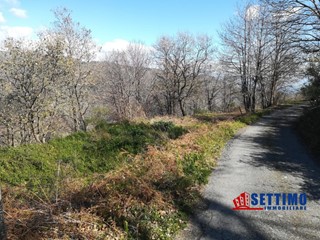 Terreno edificabile in Vendita a Savoca, 35'000€, 19000 m²