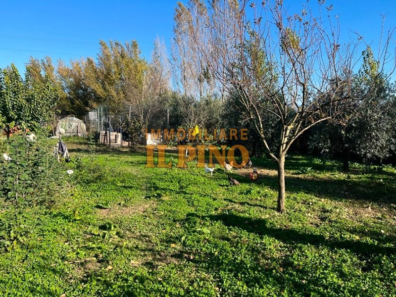 Terreno agricolo in Vendita a Pisa, zona Putignano Pisano, 35'000€, 3600 m²