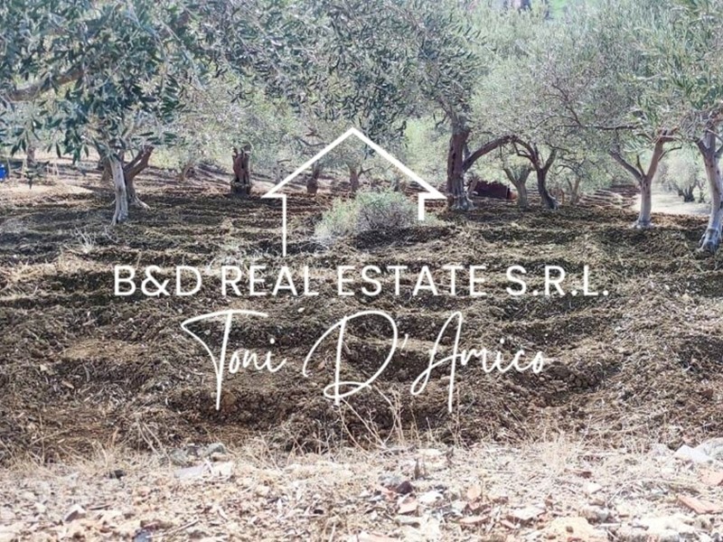 Terreno agricolo in Vendita a Bagheria, 20'000€, 2800 m²