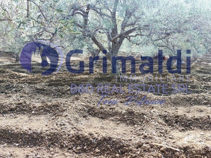 Terreno agricolo in Vendita a Bagheria, 20'000&euro;, 2800 m²