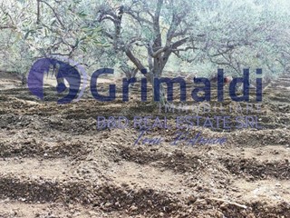 Terreno agricolo in Vendita a Bagheria, 20'000&euro;, 2800 m²