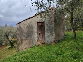 Terreno edificabile in Vendita a Arcola, zona Trebiano, 85'000€, 6000 m²