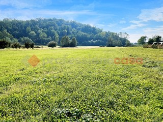 Terreno agricolo in Vendita a Pinerolo, 32'000€, 5282 m²