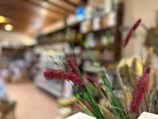 Attività commerciale in Vendita a Marostica, 58'000€, 150 m², arredato