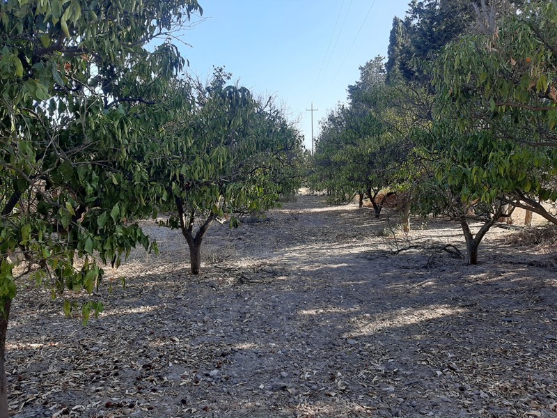 Terreno agricolo in Vendita a Monastir, 60'000€, 23500 m²