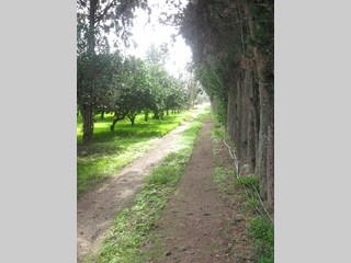 Terreno agricolo in Vendita a Monastir, 60'000€, 23500 m²