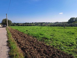 Terreno edificabile in Vendita a Lanciano, 11874 m²
