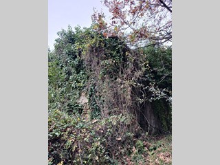 Casa Indipendente in Vendita a Arcola, 73'000€, 62 m²