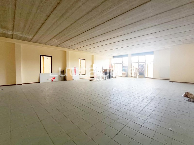 Laboratorio in Affitto a Lucca, zona Sant'Anna, 1'700€, 230 m²
