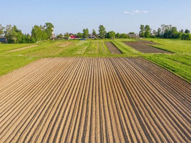 Terreno agricolo in Vendita a Pisa, 25'000€, 2350 m²