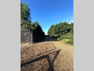 Terreno edificabile in Vendita a Monte di Procida, 179'000€, 1200 m²