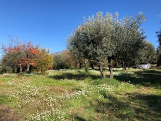 Terreno agricolo in Vendita a Marcellina, 35'000&euro;, 13000 m²