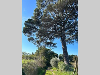 Casale in Vendita a Fucecchio, 550'000€, 500 m²