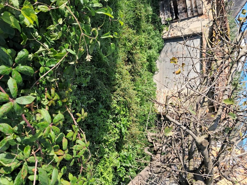 Box in Vendita a Bientina, 45'000€, 25 m²