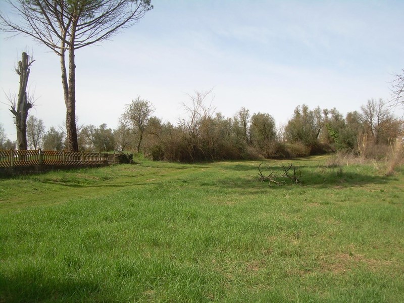 Terreno agricolo in Vendita a Cerreto Guidi, zona Lazzeretto, 100'000€, 42000 m²