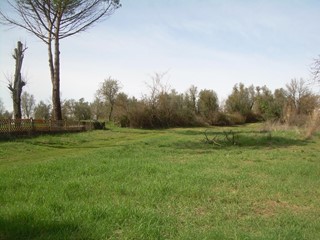 Terreno agricolo in Vendita a Cerreto Guidi, zona Lazzeretto, 100'000€, 42000 m²