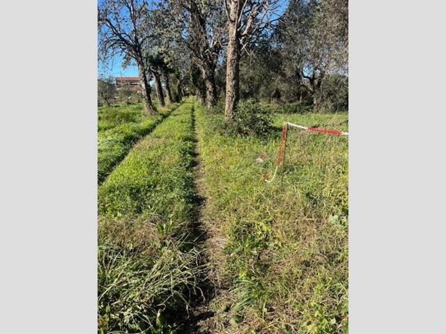 Casale in Vendita a Sarzana, 159'000&euro;, 150 m²