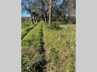 Casale in Vendita a Sarzana, 159'000€, 150 m²