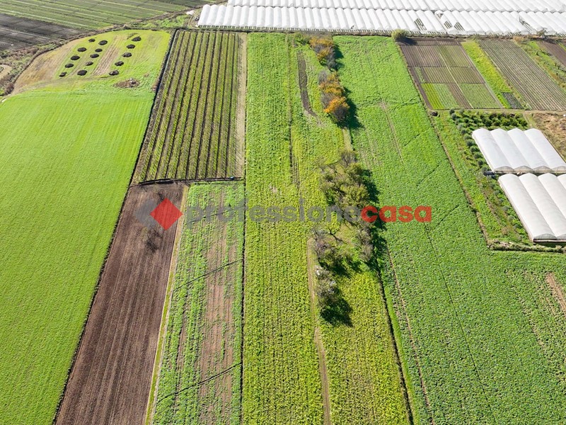 Terreno agricolo in Vendita a Capaccio Paestum, 120'000€, 14836 m²