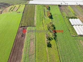 Terreno agricolo in Vendita a Capaccio Paestum, 120'000€, 14836 m²