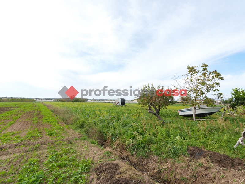 Terreno agricolo in Vendita a Capaccio Paestum, 120'000€, 14836 m²