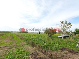 Terreno agricolo in Vendita a Capaccio Paestum, 120'000€, 14836 m²