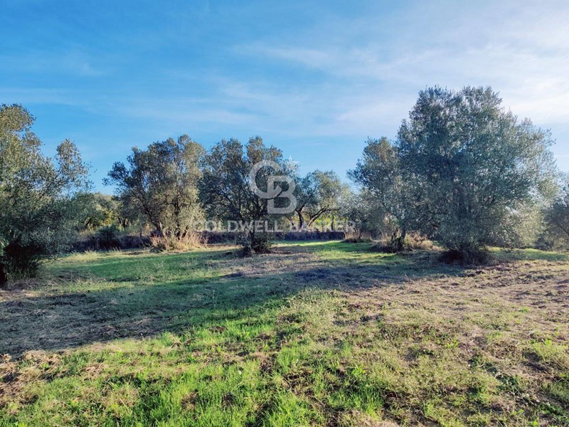 Terreno agricolo in Vendita a Farnese, 13'500€, 11400 m²