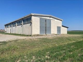 Terreno agricolo in Vendita a Sissa Trecasali, zona torricella , 280'000&euro;, 80240 m²