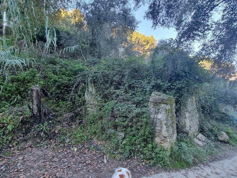 Terreno agricolo in Vendita a Camporosso, 50'000€, 2346 m²