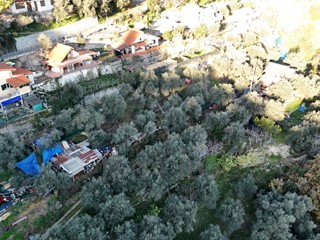 Terreno agricolo in Vendita a Camporosso, 50'000€, 2346 m²