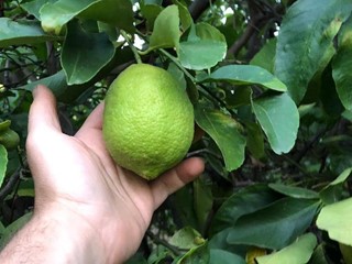 Terreno agricolo in Vendita a Calatabiano, 60'000&euro;, 3100 m²