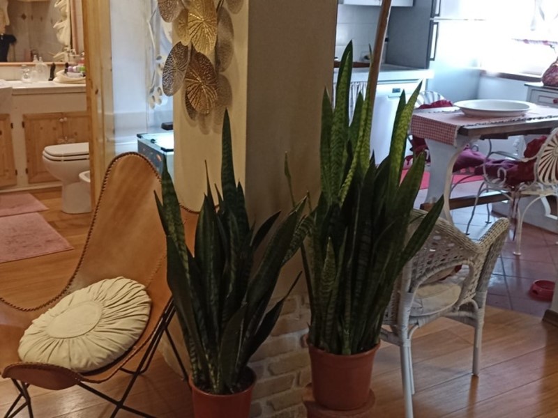 Appartamento in Vendita a Carrara, 178'000€, 90 m²