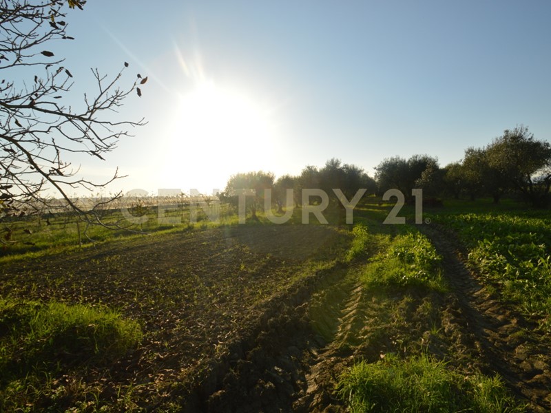 Terreno agricolo in Vendita a Grosseto, 139'000€, 60000 m²