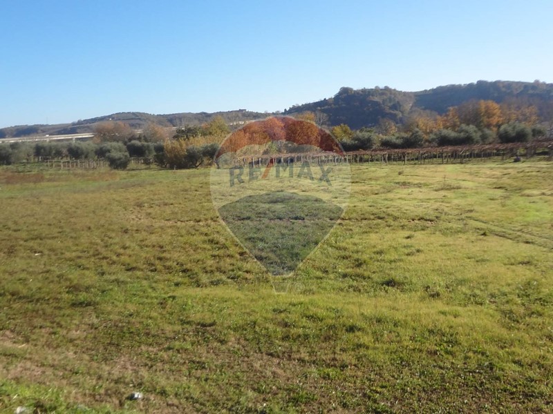 Terreno edificabile in Vendita a Miglianico, zona Cerreto, 315'000€, 6310 m²