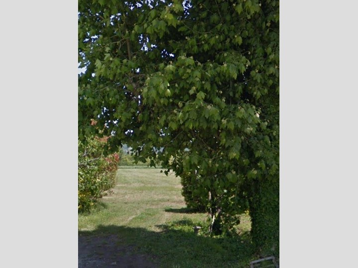 Terreno agricolo in Vendita a Camaiore, zona Lido di Camaiore, 74'000€, 3700 m²