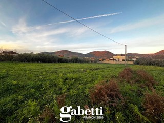 Terreno edificabile in Vendita a Calvi Risorta, 74'000€, 1600 m²