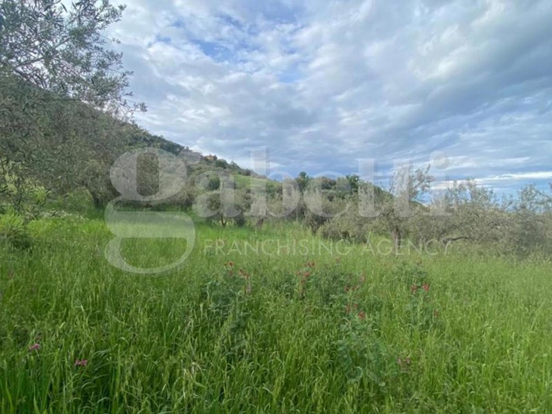 Terreno agricolo in Vendita a Patti, 30'000€, 5550 m²