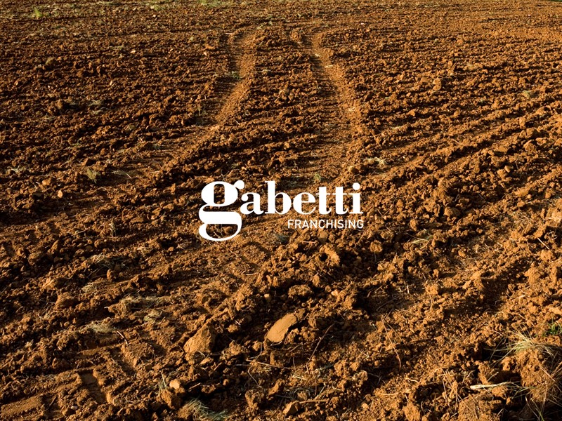 Terreno agricolo in Vendita a Casalserugo, 42'000€, 8353 m²